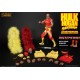 WWE Wrestling Action Figure 1/6 Hulk Hogan Hulkamania 33 cm